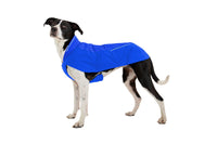 Ruffwear Vert Jacket - USED GEAR - FINAL SALE